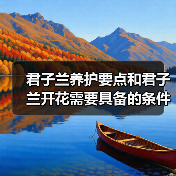 君子兰养护要点和君子兰开花需要具备的条件，你都需要注意这些(图4)