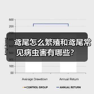 鸢尾怎么繁殖和鸢尾常见病虫害有哪些？(图4)