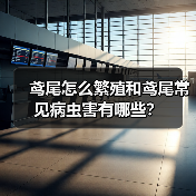 鸢尾怎么繁殖和鸢尾常见病虫害有哪些？(图2)
