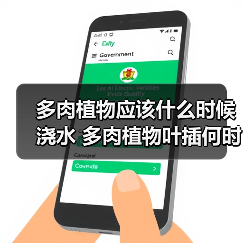 多肉植物应该什么时候浇水 多肉植物叶插何时浇水(图2)