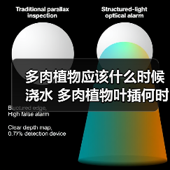 多肉植物应该什么时候浇水 多肉植物叶插何时浇水(图1)