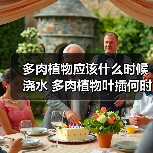 多肉植物应该什么时候浇水 多肉植物叶插何时浇水(图3)