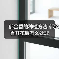 郁金香的种植方法 郁金香开花后怎么处理(图3)