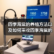 四季海棠的养殖方法以及如何采收四季海棠的种子(图2)