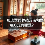 玻璃翠的养殖方法和繁殖方式有哪些？(图4)
