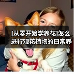 [从零开始学养花]怎么进行观花植物的日常养护？(图1)
