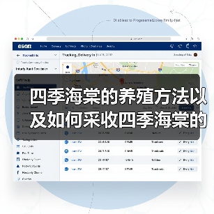 四季海棠的养殖方法以及如何采收四季海棠的种子(图1)