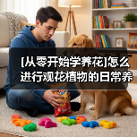 [从零开始学养花]怎么进行观花植物的日常养护？(图3)
