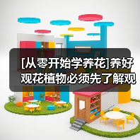 [从零开始学养花]养好观花植物必须先了解观花植物最佳的生长环境(图3)