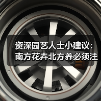 资深园艺人士小建议：南方花卉北方养必须注意“三要三不要”和“土暖浇”(图2)
