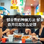 郁金香的种植方法 郁金香开花后怎么处理(图4)