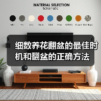 细数养花翻盆的最佳时机和翻盆的正确方法(图4)