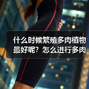 什么时候繁殖多肉植物最好呢？怎么进行多肉叶插繁殖？(图3)