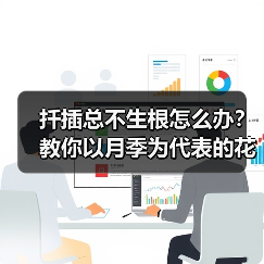 扦插总不生根怎么办？教你以月季为代表的花卉扦插最简单方法(图3)