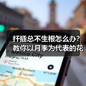 扦插总不生根怎么办？教你以月季为代表的花卉扦插最简单方法(图2)