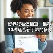 好养好看还便宜，推荐10种适合新手养的多肉，附养护方法(图1)