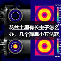 花盆土里有长虫子怎么办，几个简单小方法就可以消灭掉(图1)
