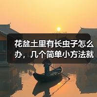 花盆土里有长虫子怎么办，几个简单小方法就可以消灭掉(图2)