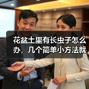 花盆土里有长虫子怎么办，几个简单小方法就可以消灭掉(图4)