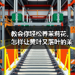 教会你轻松养茉莉花，怎样让黄叶又落叶的茉莉花重新生长(图1)