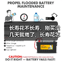 长寿花不长寿，刚买没几天就蔫了，长寿花怎么养小手册(图3)