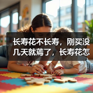 长寿花不长寿，刚买没几天就蔫了，长寿花怎么养小手册(图2)