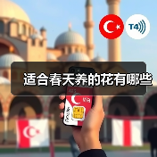 适合春天养的花有哪些(图1)
