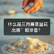 什么是三月畏寒盆花“出房”前准备？(图1)