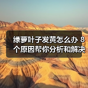 绿萝叶子发黄怎么办 8个原因帮你分析和解决绿萝叶黄问题(图1)