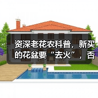 资深老花农科普，新买的花盆要“去火”，否则花卉绿植一上盆就枯死(图2)