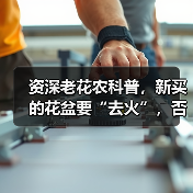 资深老花农科普，新买的花盆要“去火”，否则花卉绿植一上盆就枯死(图4)