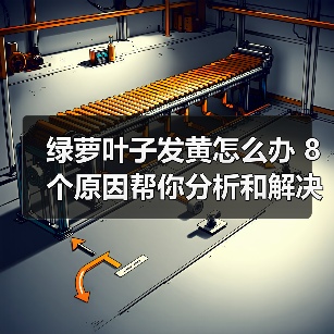 绿萝叶子发黄怎么办 8个原因帮你分析和解决绿萝叶黄问题(图3)