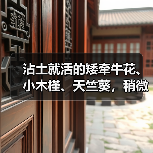 沾土就活的矮牵牛花、小木槿、天竺葵，稍微给点儿肥秒变大花球(图4)