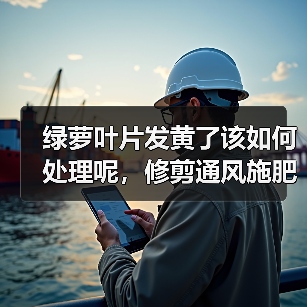绿萝叶片发黄了该如何处理呢，修剪通风施肥不可少，绿的发油(图4)