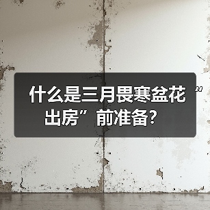 什么是三月畏寒盆花“出房”前准备？(图2)