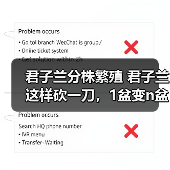君子兰分株繁殖 君子兰这样砍一刀，1盆变n盆，多到摆不下(图2)