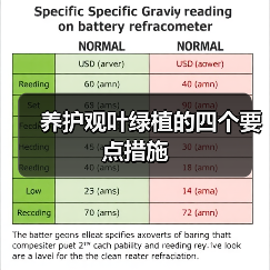 养护观叶绿植的四个要点措施(图4)