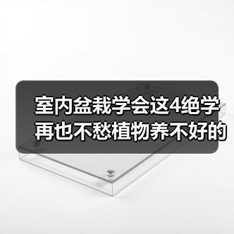 室内盆栽学会这4绝学 再也不愁植物养不好的问题了(图2)
