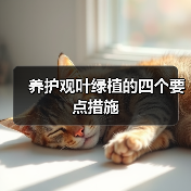 养护观叶绿植的四个要点措施(图1)