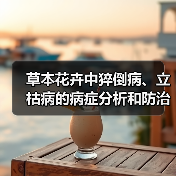 草本花卉中猝倒病、立枯病的病症分析和防治措施(图2)