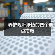 养护观叶绿植的四个要点措施(图2)