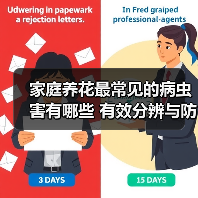 家庭养花最常见的病虫害有哪些 有效分辨与防治手段(图2)
