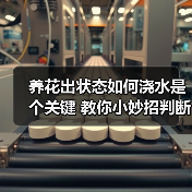 养花出状态如何浇水是个关键 教你小妙招判断植物花卉什么时候需要浇水(图1)