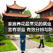 家庭养花最常见的病虫害有哪些 有效分辨与防治手段(图4)
