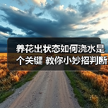养花出状态如何浇水是个关键 教你小妙招判断植物花卉什么时候需要浇水(图2)