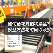 如何给花卉植物换盆？换盆方法与时间以及换盆的注意事项(图2)