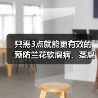 只需3点就能更有效的预防兰花软腐病、茎腐病、水腐病(图1)