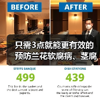 只需3点就能更有效的预防兰花软腐病、茎腐病、水腐病(图2)