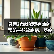 只需3点就能更有效的预防兰花软腐病、茎腐病、水腐病(图3)