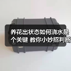 养花出状态如何浇水是个关键 教你小妙招判断植物花卉什么时候需要浇水(图4)